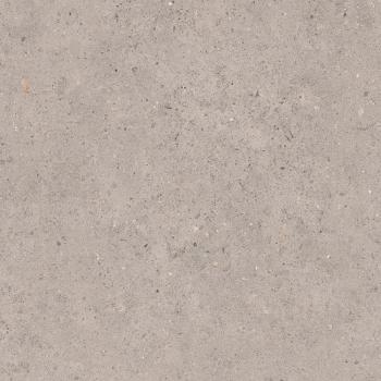 Dlažba Pastorelli Biophilic grey 60x60 cm mat P009455