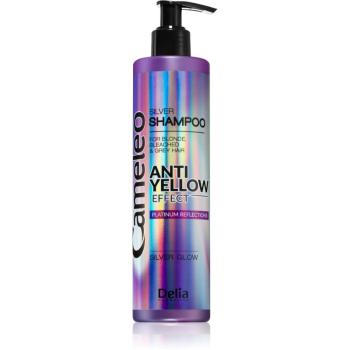 Delia Cosmetics Cameleo Silver šampón neutralizujúci žlté tóny 250 ml