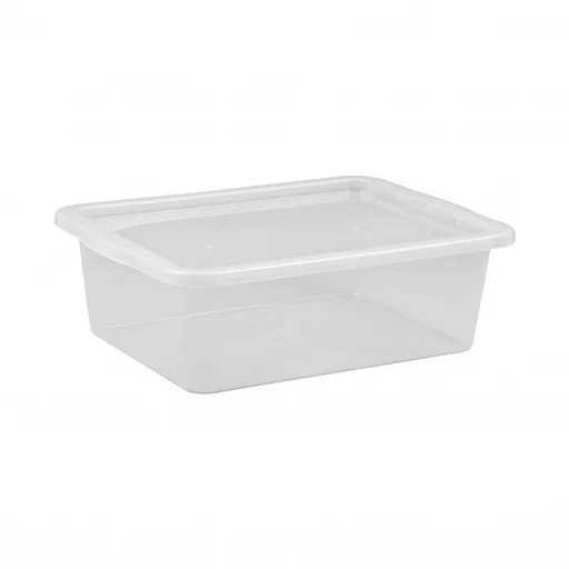 PLAST TEAM - Box BASIC s poklopom 30L, umelá hmota 37,5x17x59,5cm