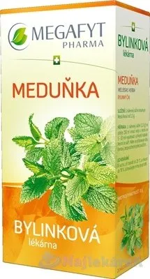 MEGAFYT Bylinková lekáreň MEDOVKA, 20x1,5g