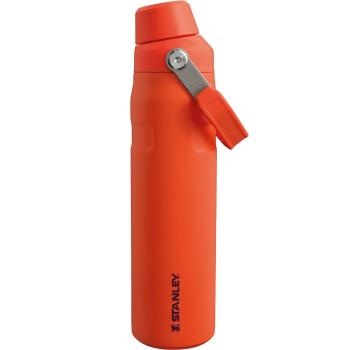 Stanley Aerolight IceFlow fľaša na vodu Fast Flow600 ml Tigerlily