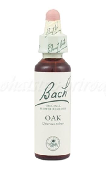 Oak - Dub mohutný 20 ml - bachove kvapky