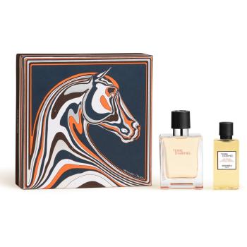 HERMÈS Terre d’Hermès Set darčeková sada pre mužov