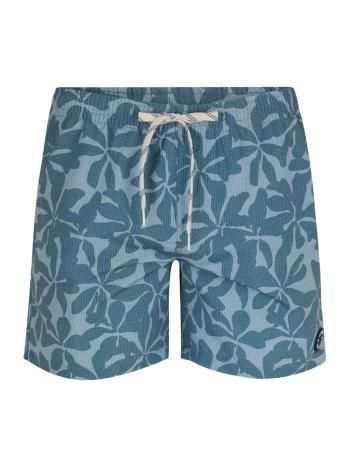 PROTEST Szörf rövidnadrágok 'Baza'  kék / füstkék