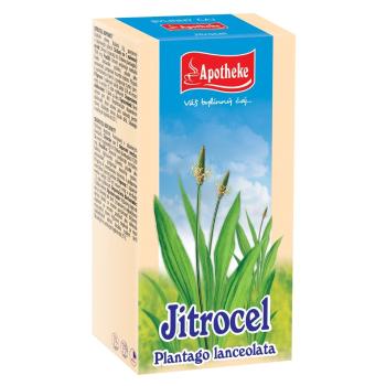 APOTHEKE Skorocel čaj 20x 1,5 g
