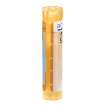 BOIRON Kalium sulfuricum CH15 4 g