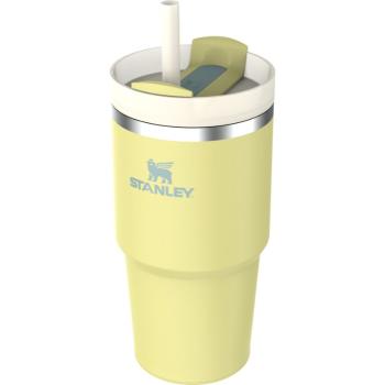 Stanley Quencher H2.O FlowState™ Tumbler tumbler z nehrdzavejúcej ocele s rúrkou Pomelo 590 ml