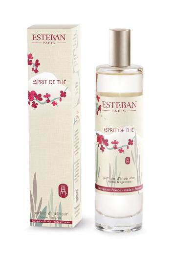 Izbová vôňa Esteban Esprit de thé 75 ml viac farieb
