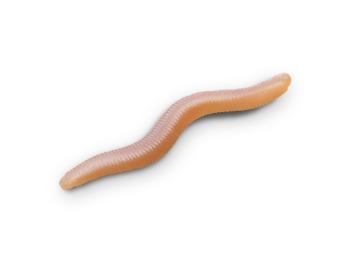 Delphin Umělá nástraha B! StinxWorm 50ks,Delphin Umělá nástraha B! StinxWorm 50ks