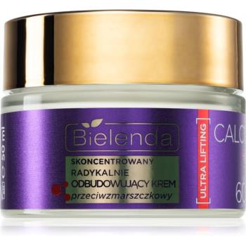 Bielenda Calcium + Q10 Concentrated radically rebuilding anti-wrinkle cream for day 60+ spevňujúci denný krém proti vráskam 50 ml