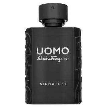 Salvatore Ferragamo Uomo Signature parfémovaná voda pre mužov 100 ml