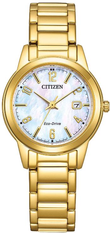 Citizen Eco-Drive Classic FE1242-78D