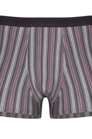 Pánske boxerky 233/85 Various perfect