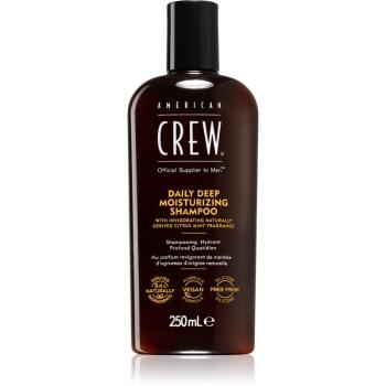 American Crew Deep Moisturizing Shampoo hidratáló sampon uraknak 250 ml