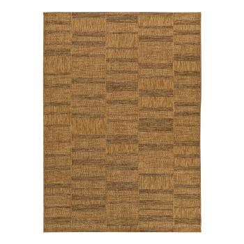 Barna kültéri szőnyeg 120x170 cm Guinea Natural – Universal