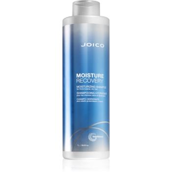 Joico Moisture Recovery hydratačný šampón pre suché vlasy 1000 ml