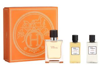 Hermes Terre D` Hermes - EDT 50 ml + sprchový gel 40 ml + voda po holení 40 ml