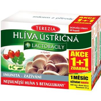 TEREZIA Hliva + lactobacily 60 + 60 kapsúl (2861962)