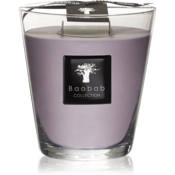 Baobab Collection All Seasons White Rhino vonná sviečka 16 cm