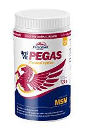 VITAR Veterinae ArtiVit Pegas MSM 720g