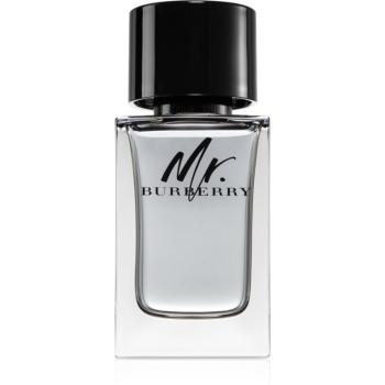 Burberry Mr. Burberry toaletná voda pre mužov 100 ml