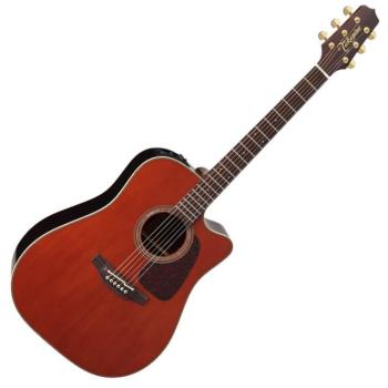 Takamine P5DC WB Elektroakustická gitara Dreadnought