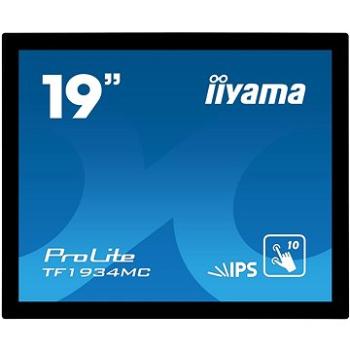 19 iiyama ProLite TF1934MC-B7X