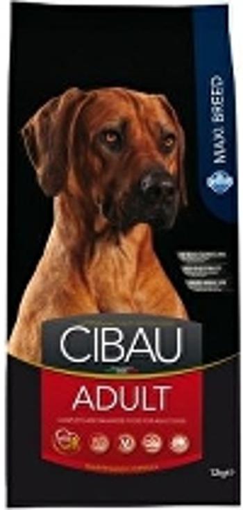 CIBAU Dog Adult Maxi 12kg