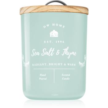 DW Home Farmhouse Sea Salt & Thyme vonná sviečka 107 g