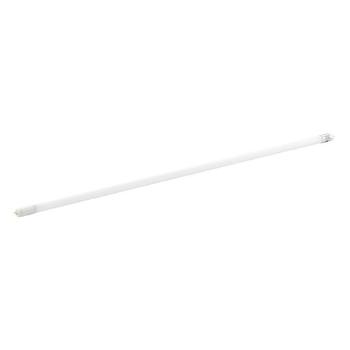 LED žiarovka Eglo G13 110333
