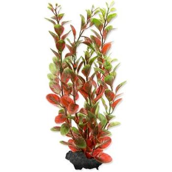 Tetra Rastlina Red Ludwigia M 23 cm (4004218270442)