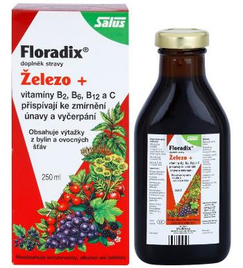 SALUS Floradix 250 ml