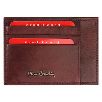 Puzdro na doklady Pierre Cardin EKO06 P020
