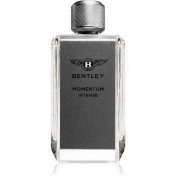 Bentley Momentum Intense parfumovaná voda pre mužov 100 ml