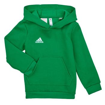 adidas  ENT22 HOODY Y  Mikiny Zelená