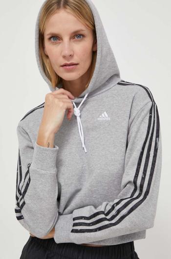 Bavlnená mikina adidas dámska, šedá farba, s kapucňou, s potlačou, IN9931