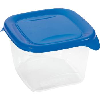 CURVER Dóza na potraviny FRESH & GO 1,2L | transparentná / modrá