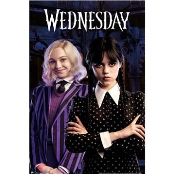 Wednesday – Wednesday and Enid – plagát (8435497291983)