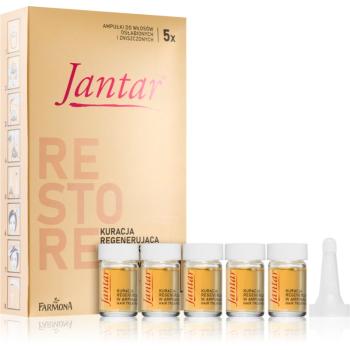 Farmona Jantar Amber Essence starostlivosť pre obnovu poškodených vlasov 5x5 ml