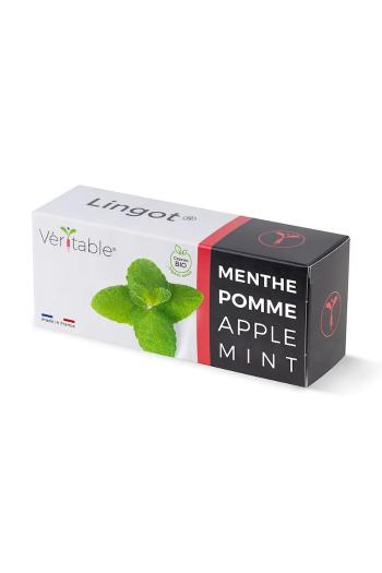 Náplň so semienkami Veritable Mięta Jabłkowa viac farieb