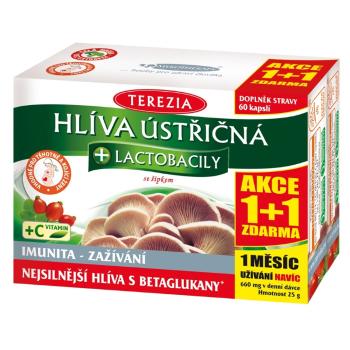 TEREZIA Hliva ustricovitá + lactobacily 60+60 kapsúl ZDARMA