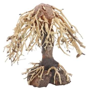 Dupla Weeping Willow 1 prírodná drevená dekorácia 15 × 10 × 16 cm (D79027)