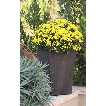 KETER kvetináč RATTAN PLANTER S hnedý (228977)
