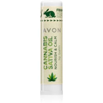 Avon Cannabis Sativa Oil Nourish & Calm balzam na pery s konopným olejom 4,5 g