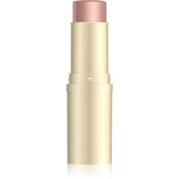 Eveline Cosmetics Wonder Show rozjasňujúca tyčinka odtieň 01 Starlight 8 g