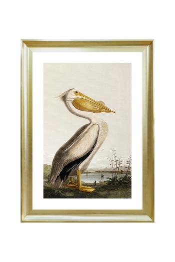 Nástenná dekorácia v ráme home & lifestyle PELICAN OVER THE WATER 50 x 70 cm viac farieb