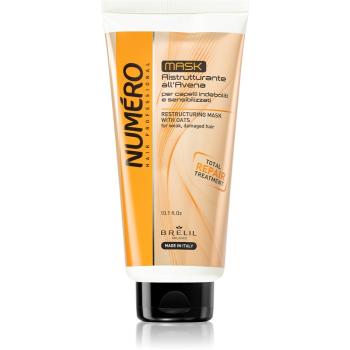 Brelil Professional Restructuring Mask reštrukturalizačná maska na vlasy 300 ml