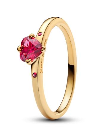 Pandora Romantický pozlátený prsteň You & Me 166574C01 52 mm