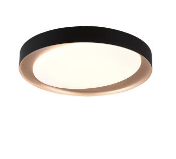 LED stropné osvetlenie Reality Zeta čierna R62712402