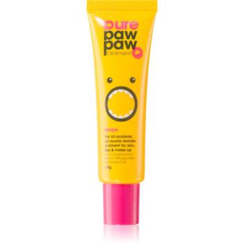 Pure Paw Paw Grape balzam na pery a suché miesta 15 g